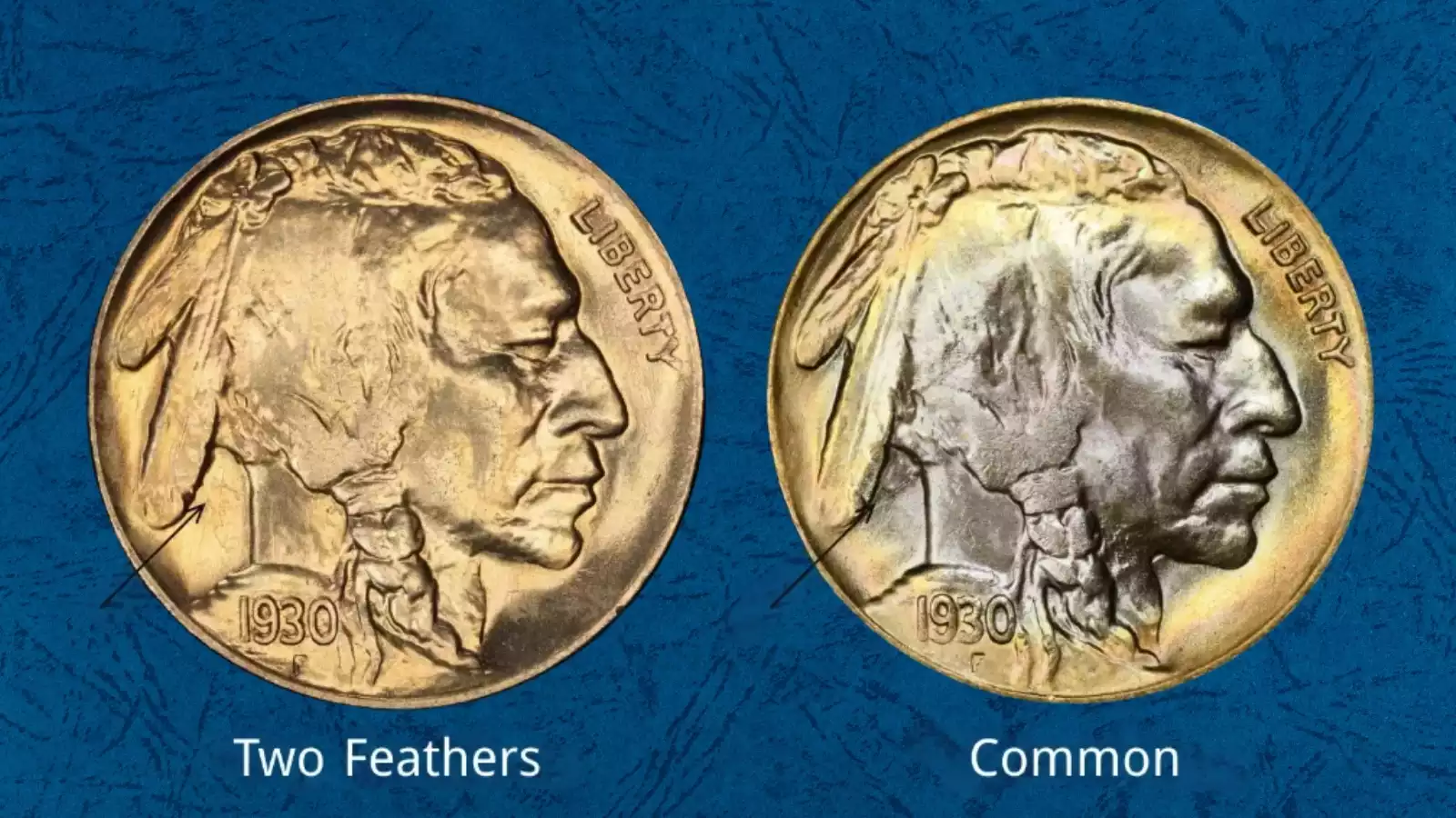 1930 Buffalo nickel Two-Feather error close-up showing headdress with only two feathers visible
